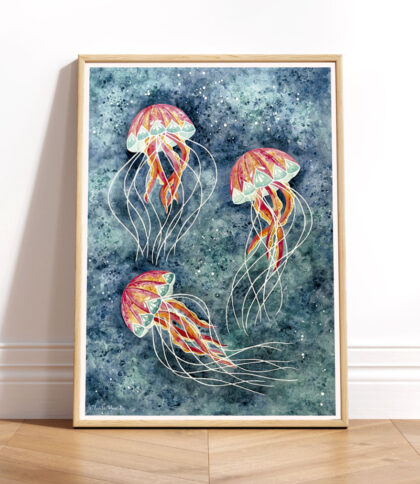 Medusas