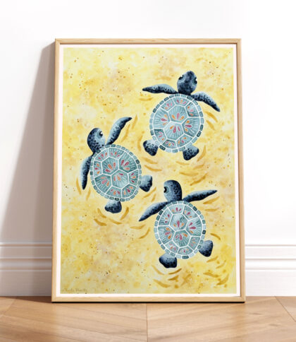 Tortugas